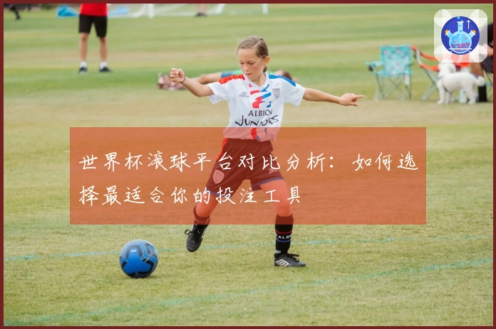 世界杯滚球平台对比分析：如何选择最适合你的投注工具