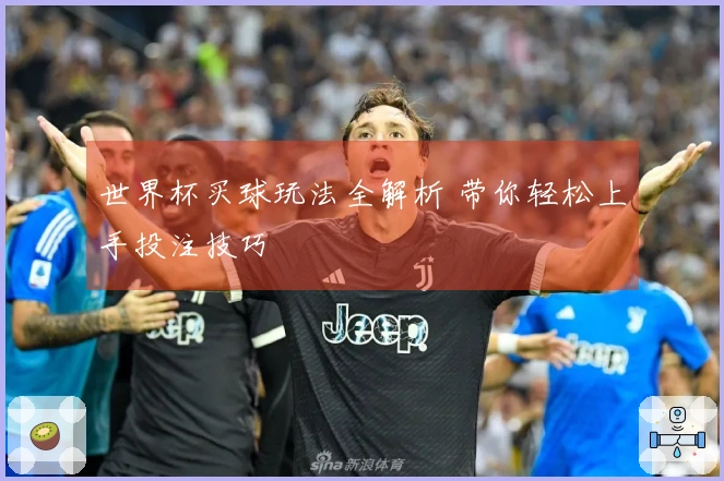 世界杯买球玩法全解析 带你轻松上手投注技巧