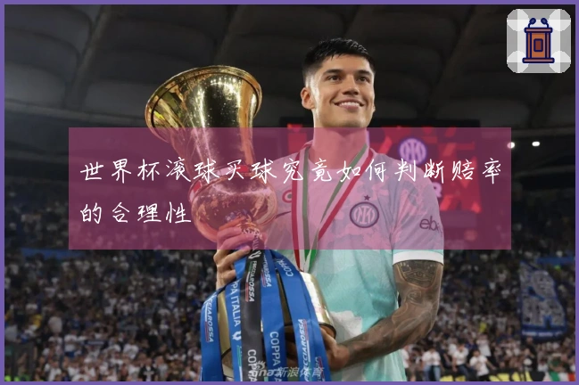 世界杯滚球买球究竟如何判断赔率的合理性