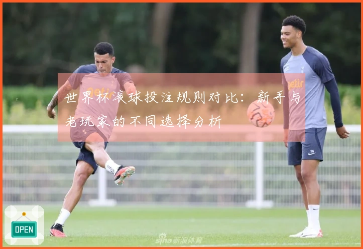 世界杯滚球投注规则对比：新手与老玩家的不同选择分析
