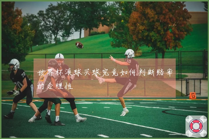 世界杯滚球买球究竟如何判断赔率的合理性