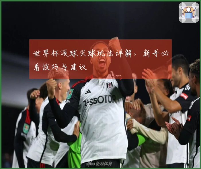 世界杯滚球买球玩法详解，新手必看技巧与建议