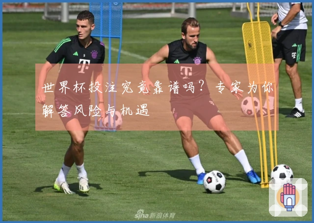 世界杯投注究竟靠谱吗？专家为你解答风险与机遇