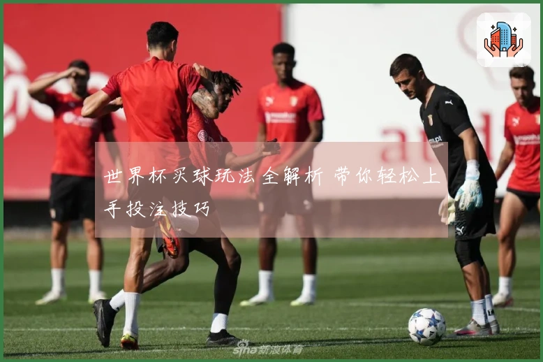 世界杯买球玩法全解析 带你轻松上手投注技巧